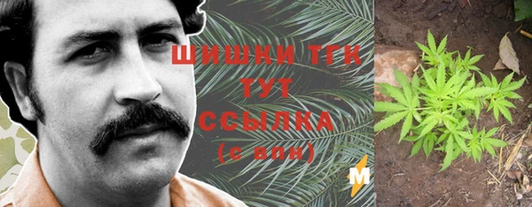 МДПВ Мегион