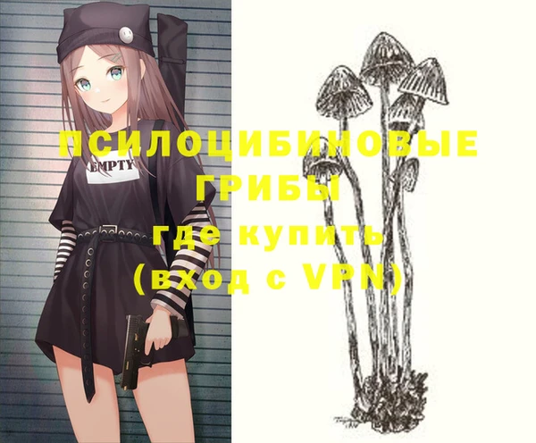 шишки Михайловск