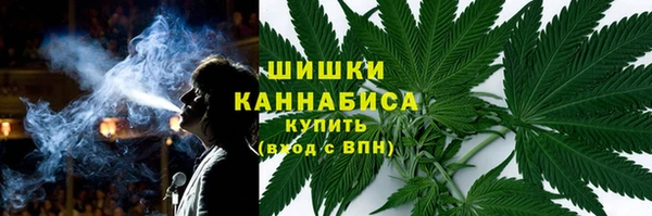 шишки Михайловск