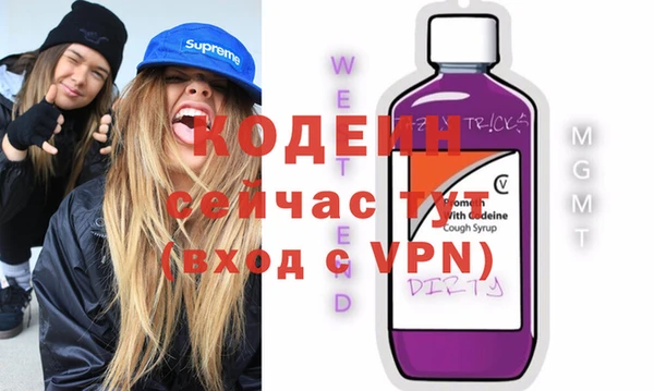 шишки Михайловск