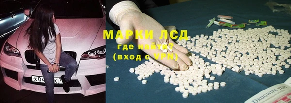 шишки Михайловск